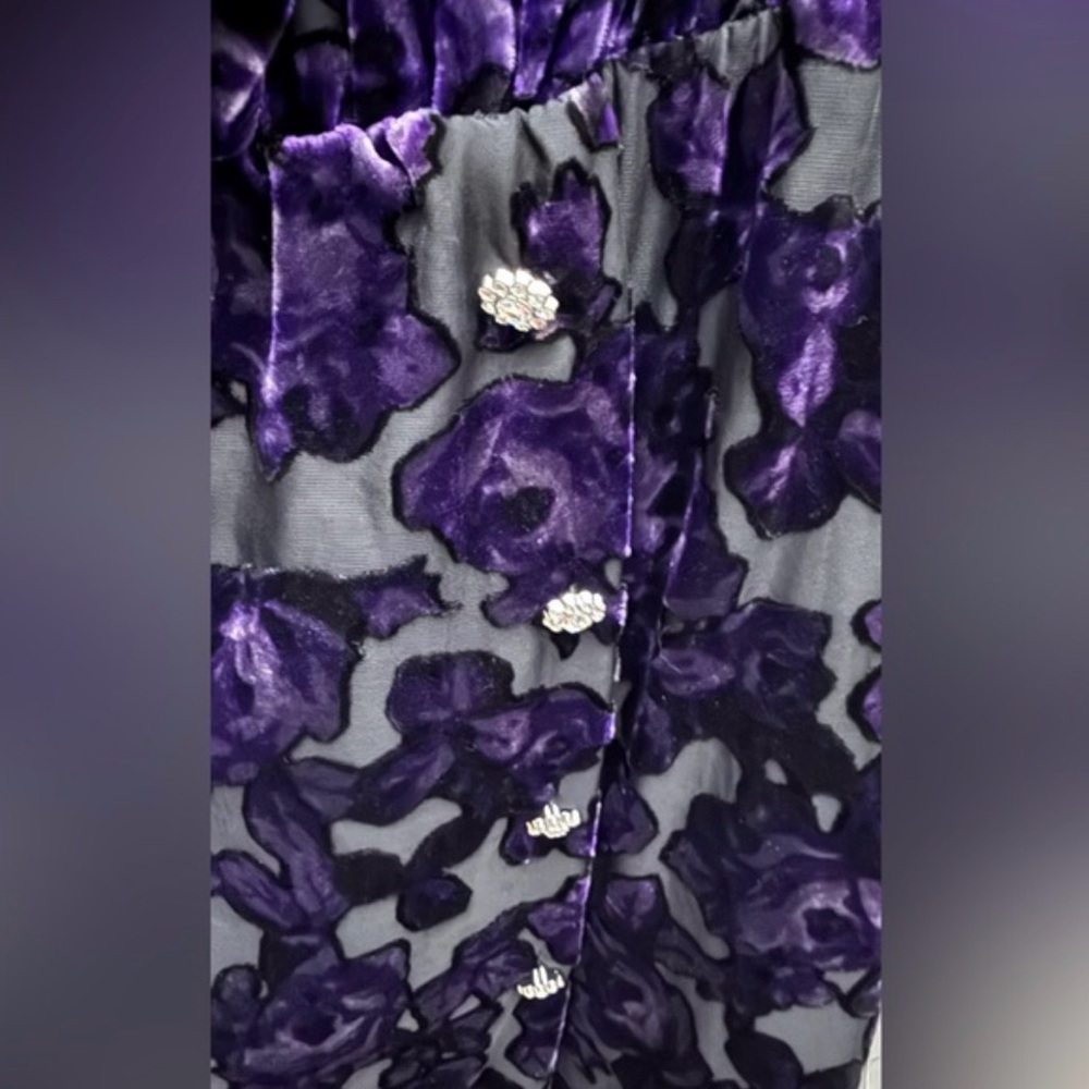 NWT ZARA Velvet Trim Burnout Mini Dress - Picture 6 of 6